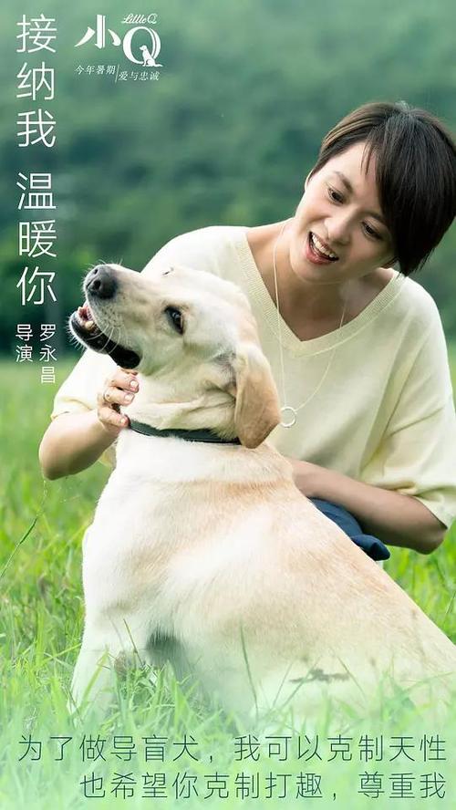做个台湾美和科技大学毕业证